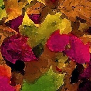 Meet your Posher, Jami